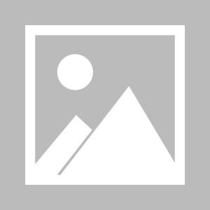 九游游戏中心-【夜读】商人许家印：1500万元运营广州队一年！